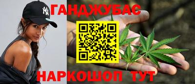 шишки Сланцы