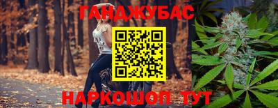 шишки Сланцы