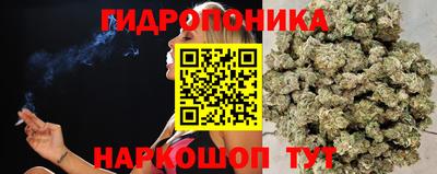 амф Славгород