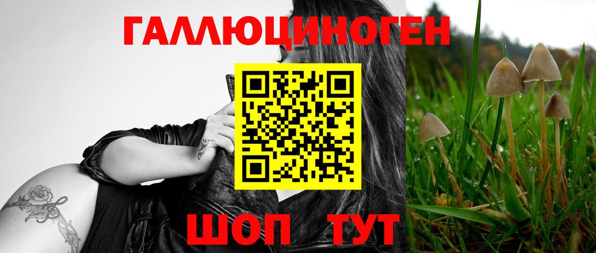 Псилоцибиновые грибы ЛСД  магазин продажи   Волгодонск  Вход с VPN  Галлюциногенные грибы ЛСД 