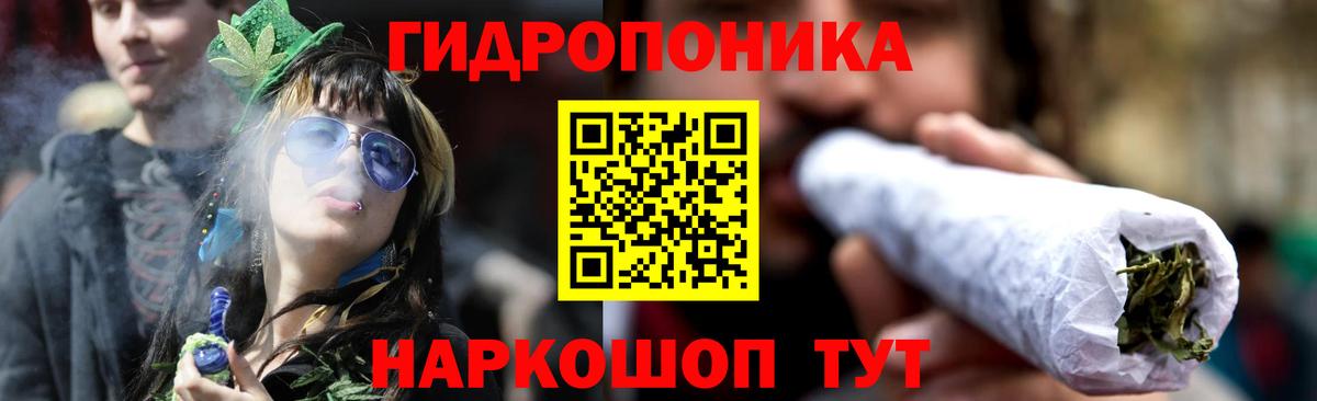 Волгодонск  МАРИХУАНА SATIVA & INDICA  Конопля тримм  Вход с VPN 